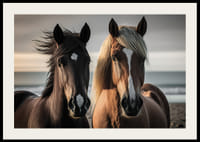 Fotografi av två bruna hästar vid havet i mjukt ljus-2