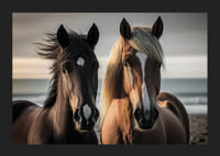 Fotografi av två bruna hästar vid havet i mjukt ljus-5