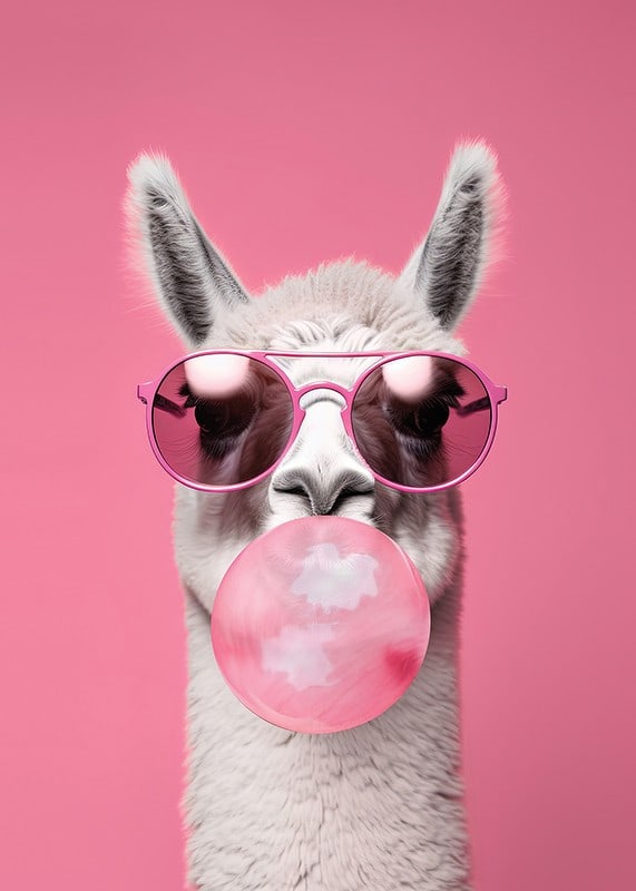 Illustrated llama with pink sunglasses and bubble gum-12