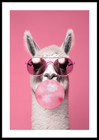 Illustrated llama with pink sunglasses and bubble gum-0