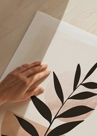 Abstract plant silhouette against circle and semicircle in beige-9