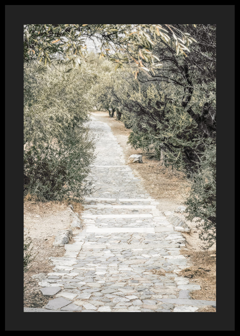 Fotografi av stenlagd gång omgiven av olivträd i varma toner-12