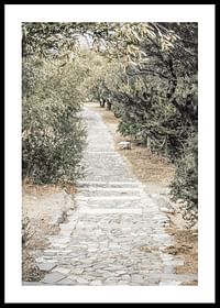 Olive Tree Garden-0