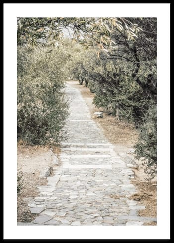 Poster Olive Tree Garden