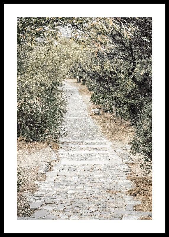 Olive Tree Garden-12