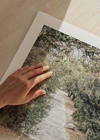 Olive Tree Garden-5