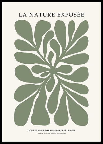 Poster La Nature Exposee 29