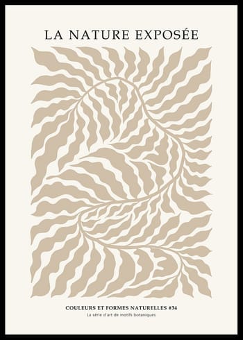 Poster La Nature Exposee 34