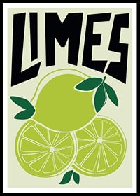Retro illustration of lime fruit and lime wedges in green-0