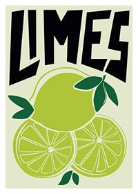 Retro illustration of lime fruit and lime wedges in green-1
