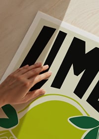 Retro illustration of lime fruit and lime wedges in green-3