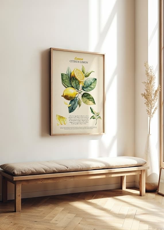 Poster Lemon Citrus Limon crossfade
