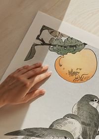 Birds And Plants No1 By Ohara Koson-3