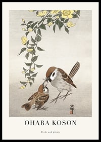 Two sparrows by a flowering twig in Japanese style by Ohara Koson-0