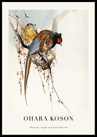 Traditional illustration of two pheasants among plum blossoms-0