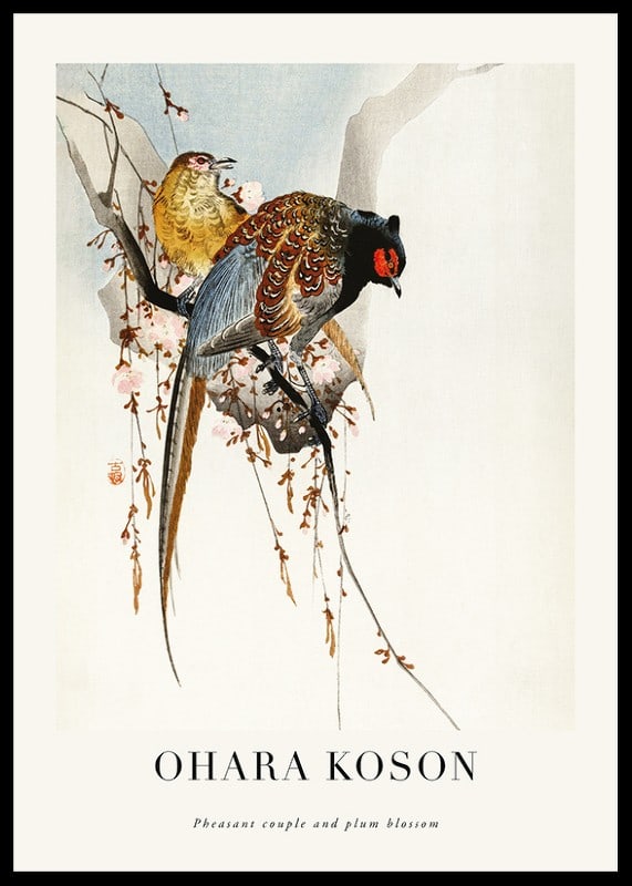 Traditional illustration of two pheasants among plum blossoms-12
