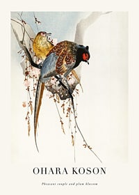 Traditional illustration of two pheasants among plum blossoms-1