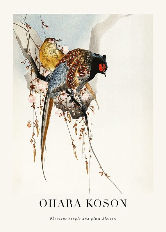 Plagát Pheasant Couple And Plum Blossom By Ohara Koson