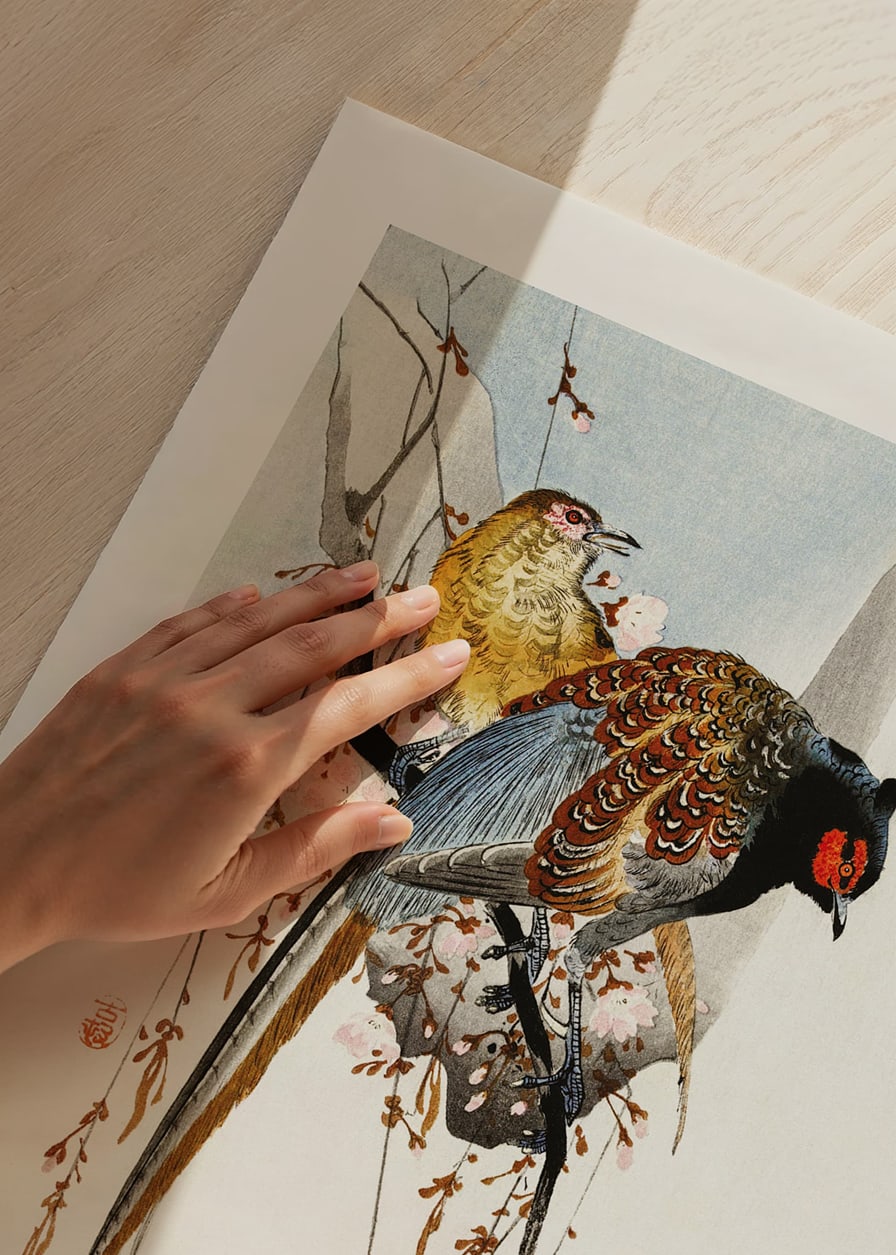 Traditional illustration of two pheasants among plum blossoms-12