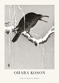 Japansk illustration av kråka på snöig gren av Ohara Koson-1