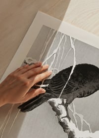 Japansk illustration av kråka på snöig gren av Ohara Koson-3