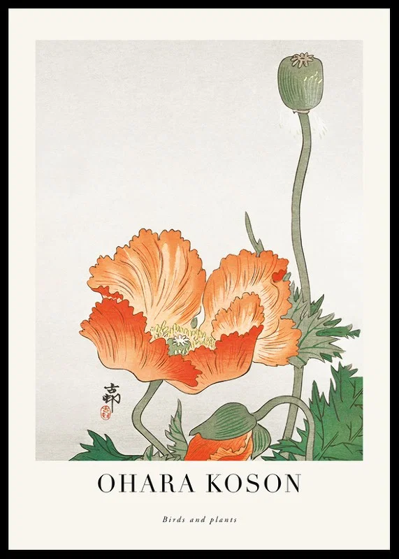 Illustration of orange poppy flower and seed pod by Ohara Koson-12
