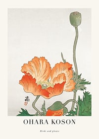 Illustration of orange poppy flower and seed pod by Ohara Koson-1