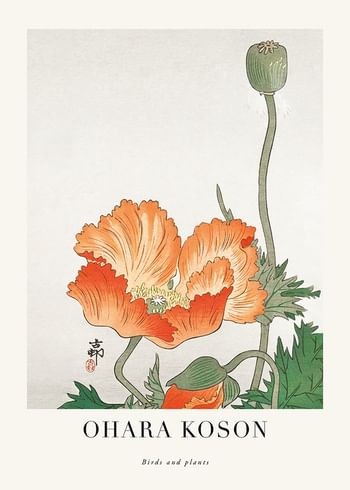 Juliste Birds And Plants No3 By Ohara Koson