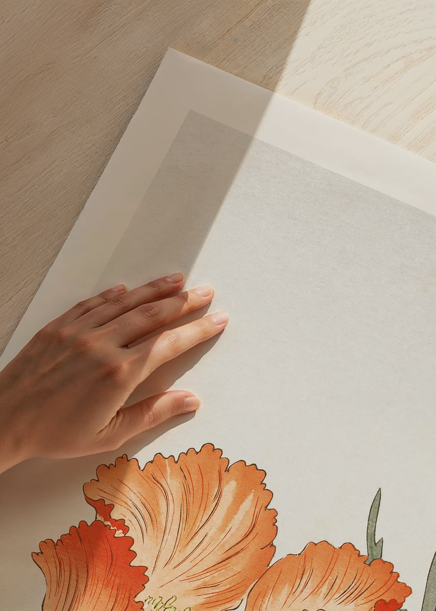 Illustration of orange poppy flower and seed pod by Ohara Koson-12