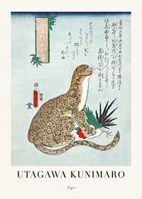 Japansk illustration av sittande tiger med mönstrad päls-1