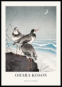 Snipes At The Shore By Ohara Koson-0