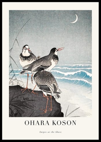 Poster Snipes At The Shore By Ohara Koson