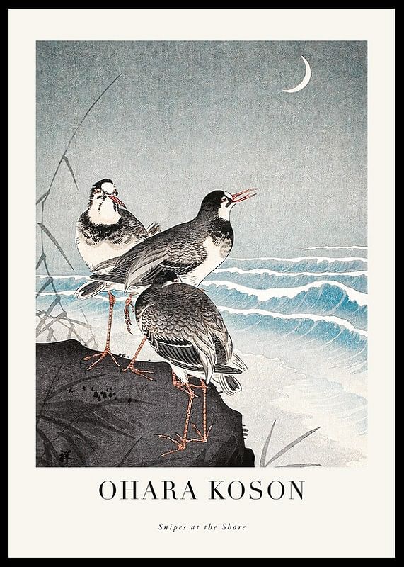 Snipes At The Shore By Ohara Koson-12