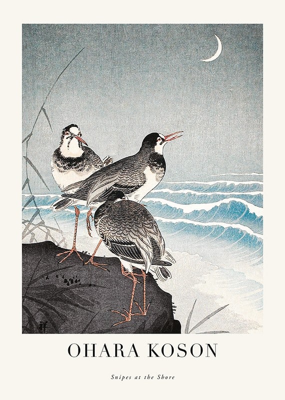 Plakāts Snipes At The Shore By Ohara Koson