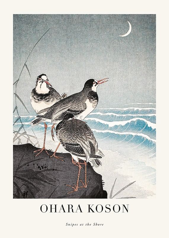 Plagát Snipes At The Shore By Ohara Koson