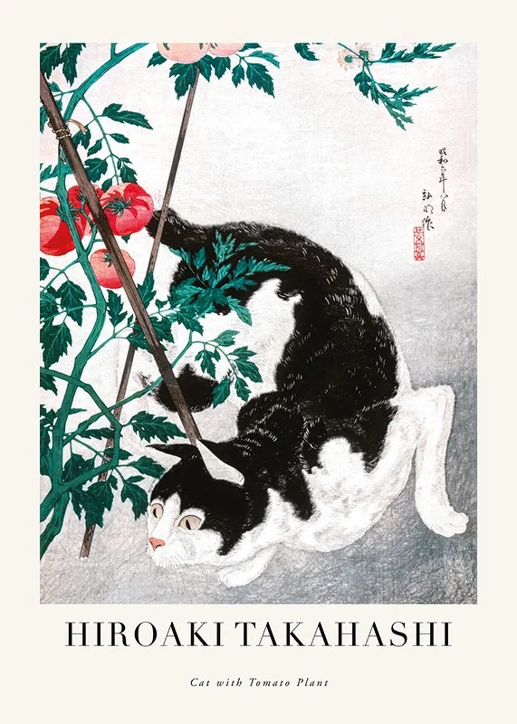 Illustration of black and white cat among tomato plants by Hiroaki Takahashi-12