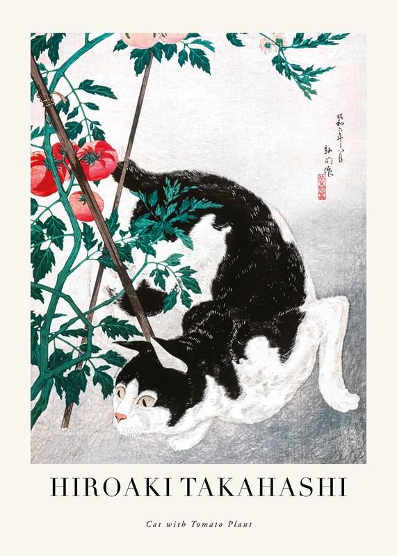 Plagát Cat With Tomato Plant By Hiroaki Takahashi