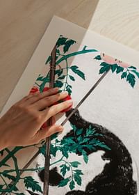 Cat With Tomato Plant By Hiroaki Takahashi-3