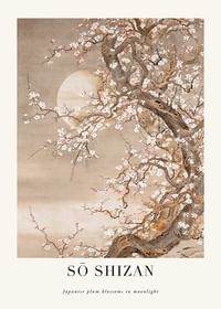Japanese Plum Blossoms In Moonlight By Sō Shizan-1