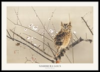 Owl on branch among white plum blossoms, Japanese style-0