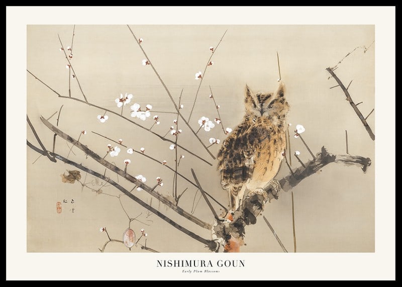 Owl on branch among white plum blossoms, Japanese style-12