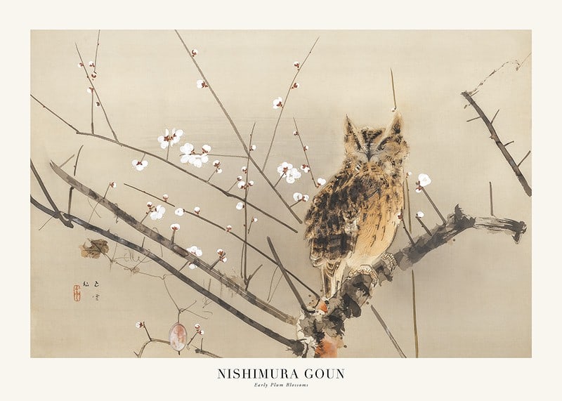 Owl on branch among white plum blossoms, Japanese style-12