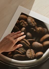 Coffee Beans No5-5
