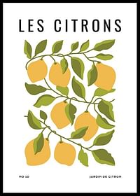 Les Citrons-0