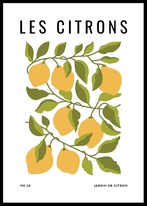Les Citrons-12