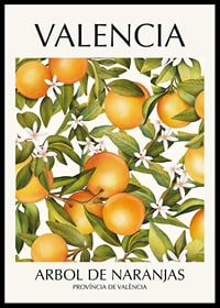 Illustration of oranges, green leaves and white flowers-0