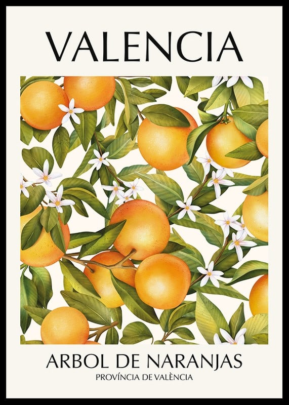 Illustration of oranges, green leaves and white flowers-12