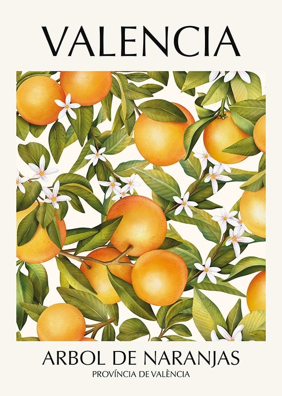 Illustration of oranges, green leaves and white flowers-12
