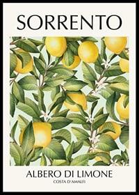 Illustration of lemon tree with yellow fruits and green leaves-0