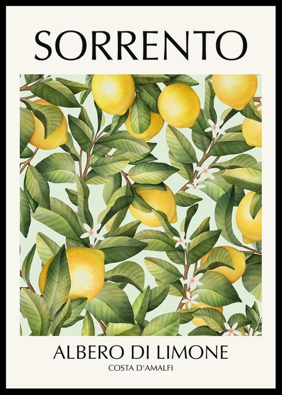 Illustration of lemon tree with yellow fruits and green leaves-12
